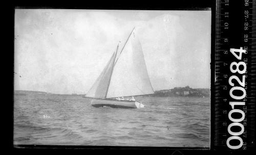 Sydney Amateur Sailing Club yacht with sail No. A3 at peak of mainsail, sailing on Sydney Harbour. SASC is located in Mosman Bay.