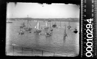 Prince Edward Yacht Club regatta day at Shark Island