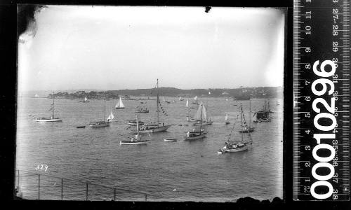 Prince Edward Yacht Club regatta day at Shark Island