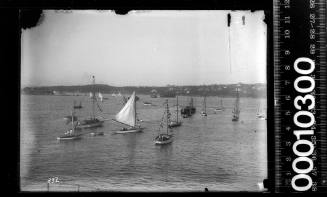 Prince Edward Yacht Club regatta day at Shark Island