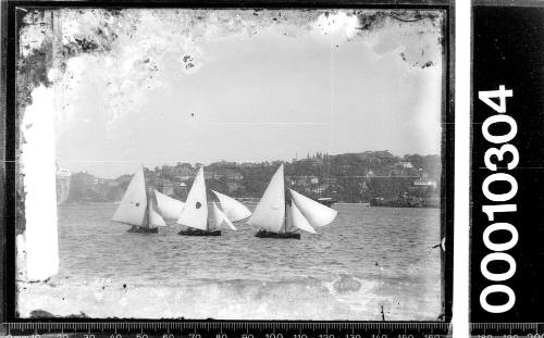 16-foot skiffs on Sydney Harbour, New South Wales