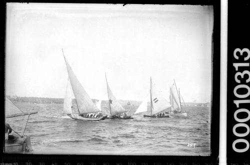 Mixed Fleet of yachts on Sydney Harbour