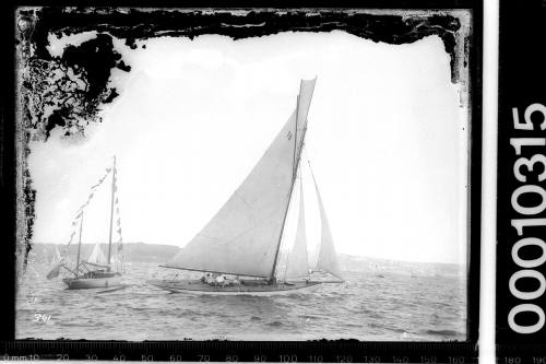 Sailing vessel on Sydney Harbour with the number '19' displayed on the mainsail