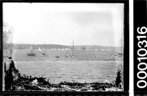 Regatta on Sydney Harbour