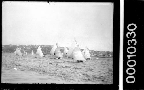 18-footers on Sydney Harbour