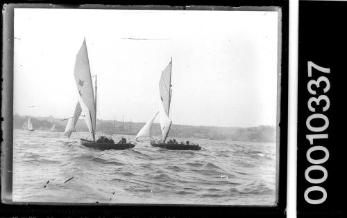 Two 16-foot skiffs on Sydney Harbour with approximately 4 crew each