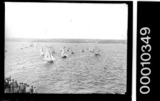 The start of a 16-foot skiff race on Sydney Harbour