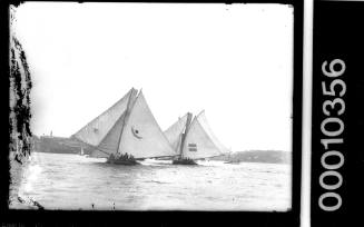 18-footers EILEEN and HC PRESS under sail on Sydney Harbour