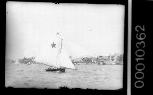 Lane Cove SC 12-foot skiff on Sydney Harbour featuring a star emblem and the text 'L 24' on the mainsail