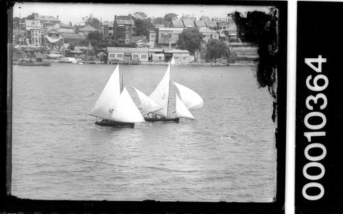 16-foot skiffs, one displaying a triangular emblem, off Balmain