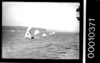18-footers including FLORRIE II and PASTIME on the run from the Sow and Pigs Reef on Sydney Harbour.