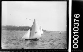 16-foot skiffs sailing near shoreline, Sydney Harbour