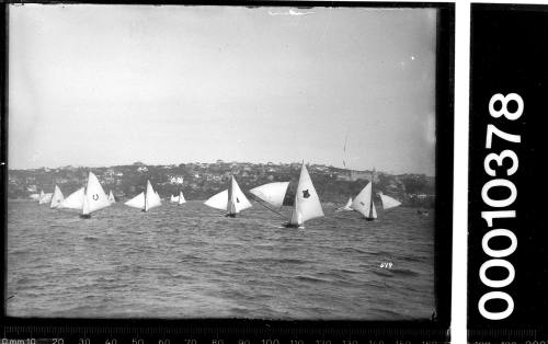 Fleet of 16-foot skiffs on Sydney Harbour