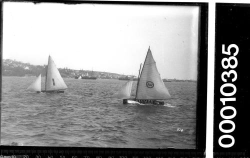 16-foot skiffs on Sydney Harbour