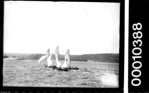 16-foot skiffs on Sydney Harbour, one displaying a horseshoe emblem on the mainsail.