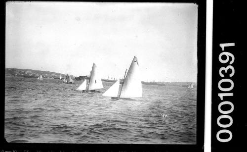 18-foot skiffs on Sydney Harbour with what is possibly Shark Island and Shark Island Light in the background
