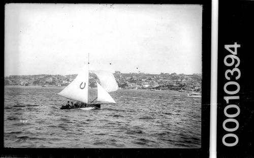 16-foot skiff with a horseshoe emblem on the mainsail sailing near shoreline, Sydney Harbour