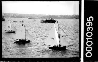 Fleet of 16-foot skiffs on Sydney Harbour with a ferry in the distance