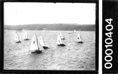 Fleet of skiffs racing on Sydney Harbour