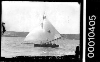 Large open boat on Sydney Harbour displaying a triangle emblem and the number '13' on the mainsail