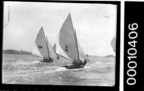 16-foot skiffs racing on Sydney Harbour, inscribed 542