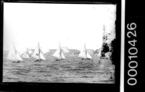 16-foot skiffs on Sydney Harbour