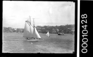 Schooner sailing close to shoreline on Sydney Harbour