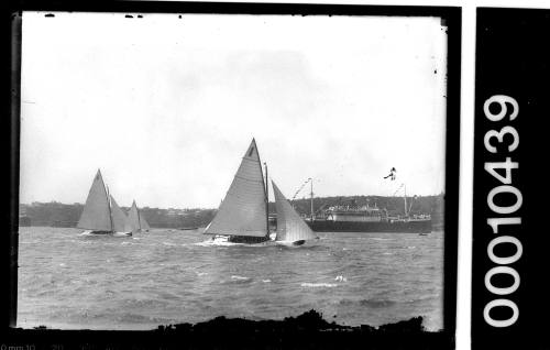 Three 21-foot restricted class yachts sailing on Sydney Harbour