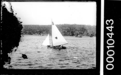 Skiff sailing on Middle Harbour, Sydney