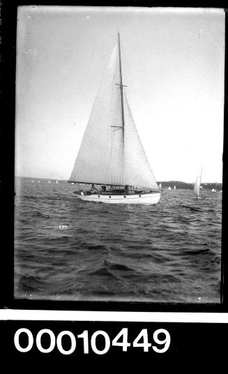 Yacht sailing in front of Nielsen Park headland