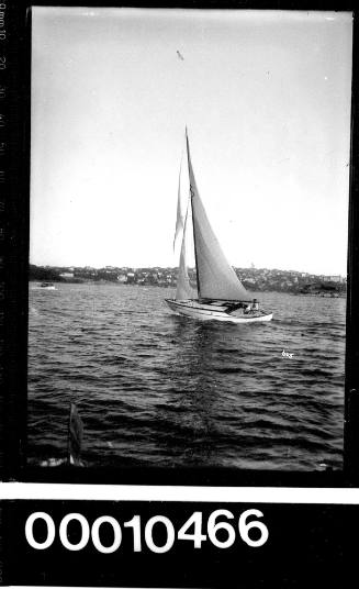 Single handed yacht off Rose Bay on Sydney Harbour