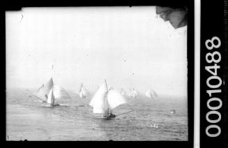 18-footers racing on Sydney Harbour