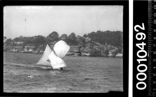 18-footer HASTINGS sailing past Nielsen Park headland, Sydney Harbour