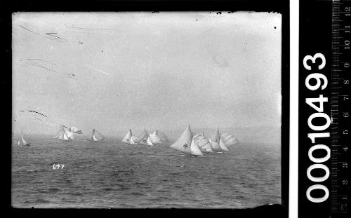 18-footers racing near Sydney Heads, Sydney Harbour