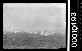 18-footers racing near Sydney Heads, Sydney Harbour