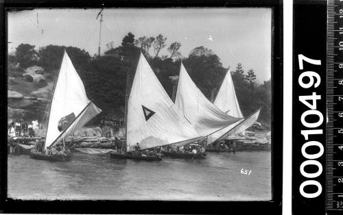 BRITANNIA and FLORRIE II with two other 18-footers at Clark Island, Sydney Harbour