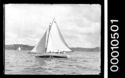 Sailing vessel on Sydney Harbour with the text 'A 16' displayed on the mainsail