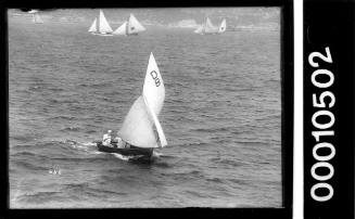 Cadet dinghy D8 sailing on Sydney Harbour