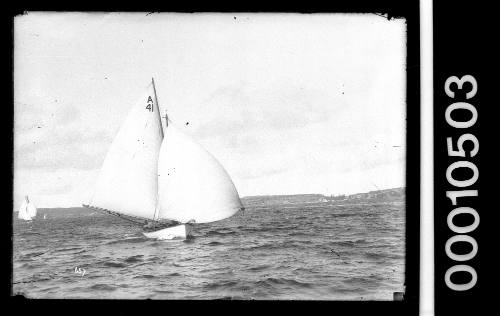 Sailing vessel with sail number A41 on Sydney Harbour