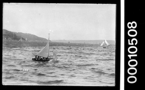 Cadet dinghy D4 on Sydney Harbour