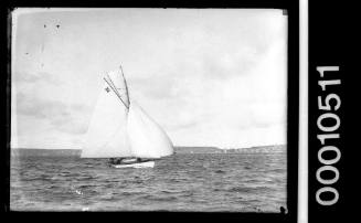 Sailing vessel on Sydney Harbour with the number '32' displayed on the mainsail