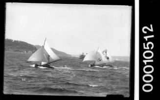 Three 18-footers racing on Sydney Harbour