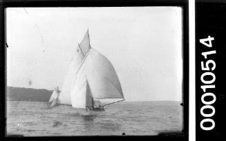 Sailing vessel with sail number 7 on Sydney Harbour