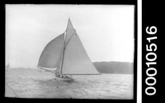 Sailing vessel on Sydney Harbour with the number '7' displayed on the mainsail