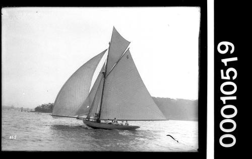 RAWHITI sailing on Sydney Harbour