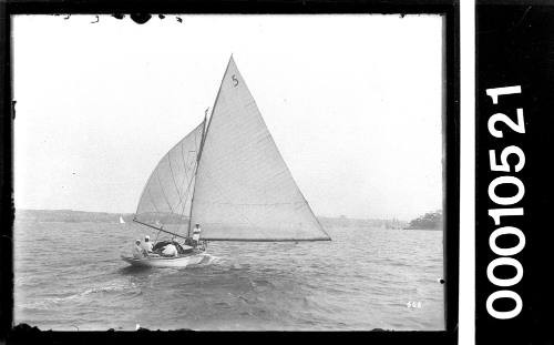 Sailing vessel on Sydney Harbour with the number '5' displayed on the mainsail