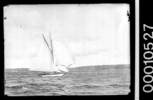 Sailing vessel with sail number A30 on Sydney Harbour