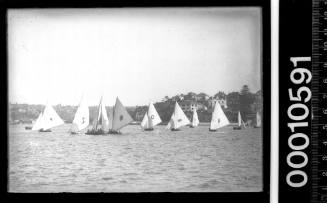 18-footer fleet before a start on Sydney Harbour