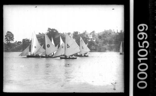 16-foot skiff racing on Sydney Harbour