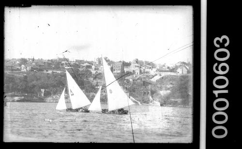 Skiff racing on Sydney Harbour